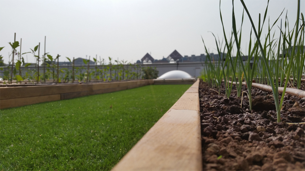 Architettura Industriale Roofingreen