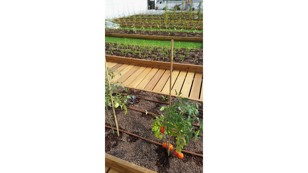 Architettura Industriale Roofingreen