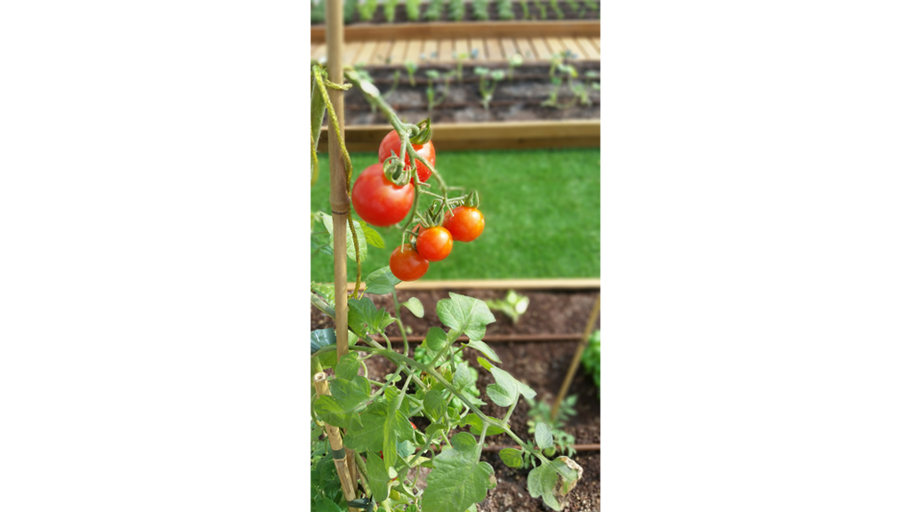 Architettura Industriale Roofingreen