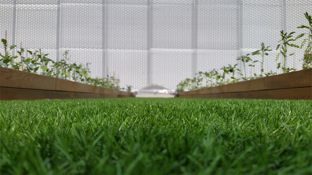 Architettura Industriale Roofingreen