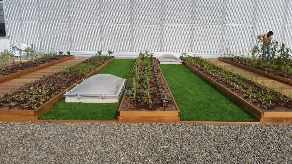 Architettura Industriale Roofingreen