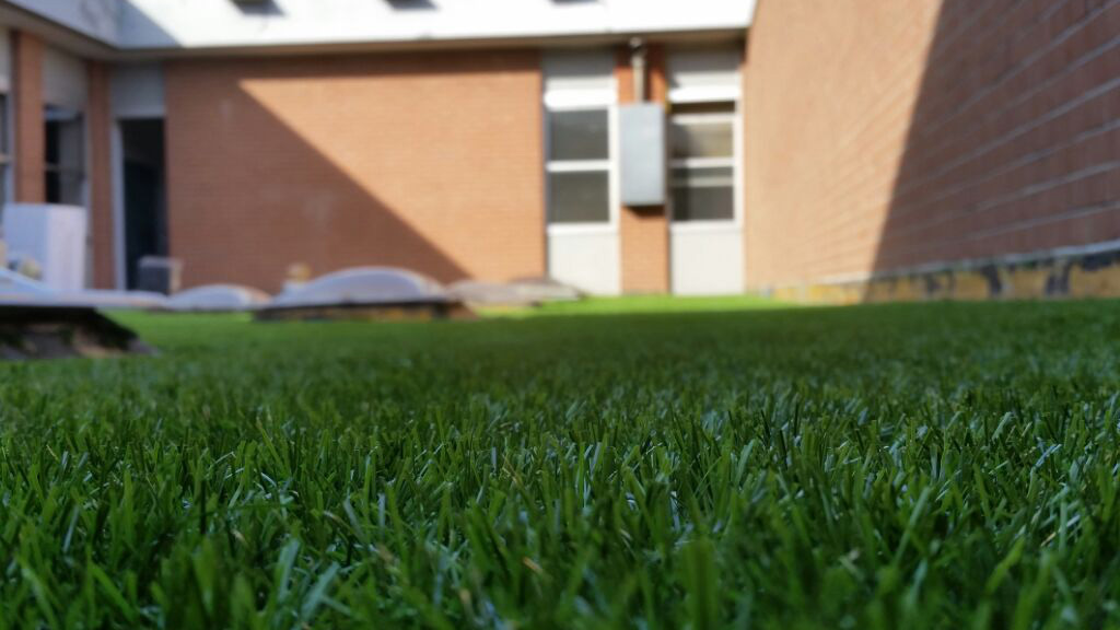 Edificio industriale Roofingreen