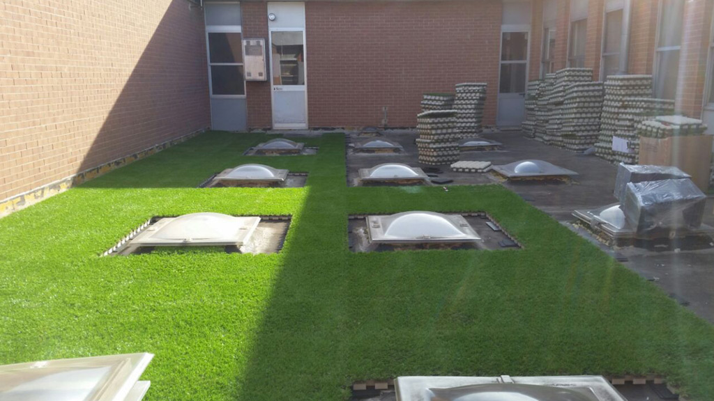 Edificio industriale Roofingreen