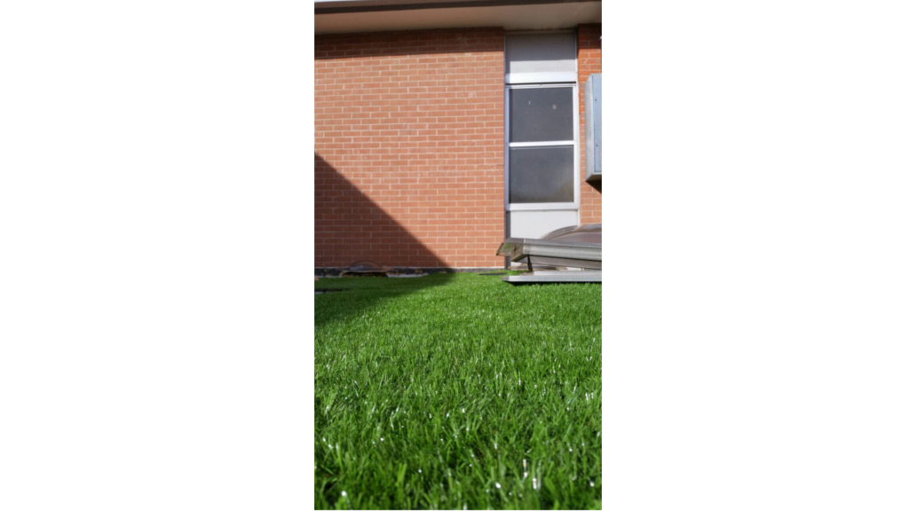 Edificio industriale Roofingreen