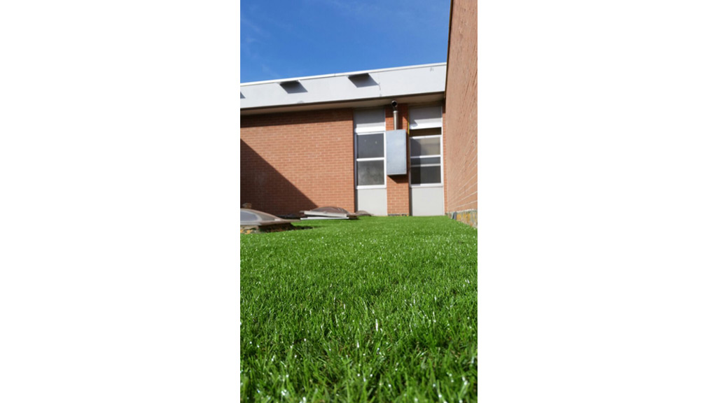 Edificio industriale Roofingreen