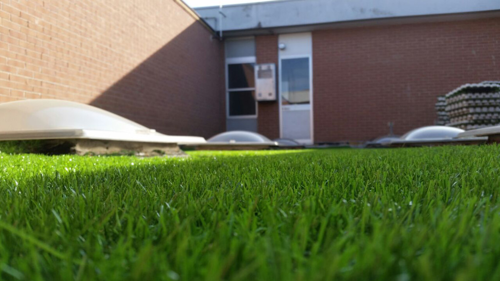 Edificio industriale Roofingreen