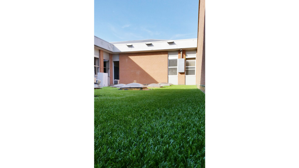 Edificio industriale Roofingreen