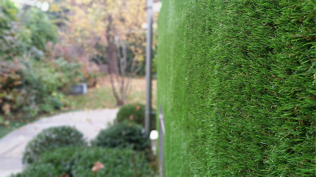 Verde verticale - il giardino segreto