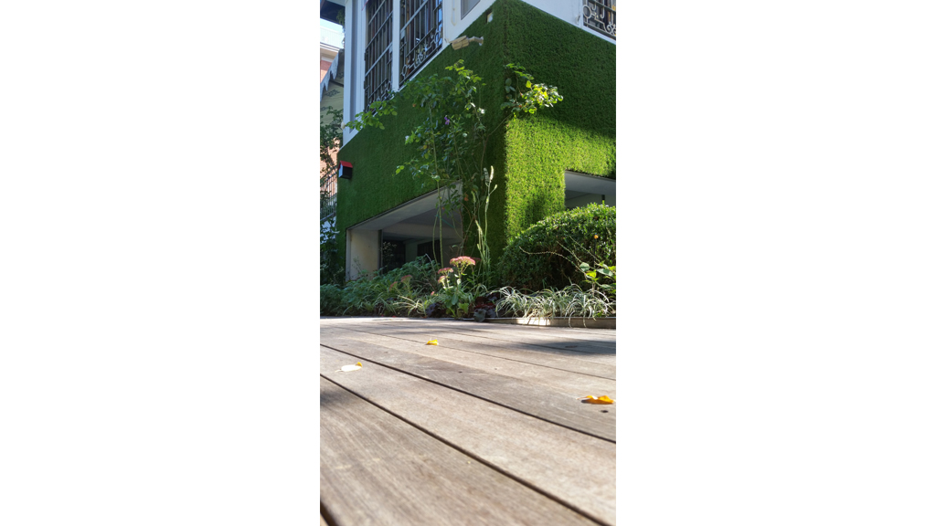 Verde verticale - il giardino segreto