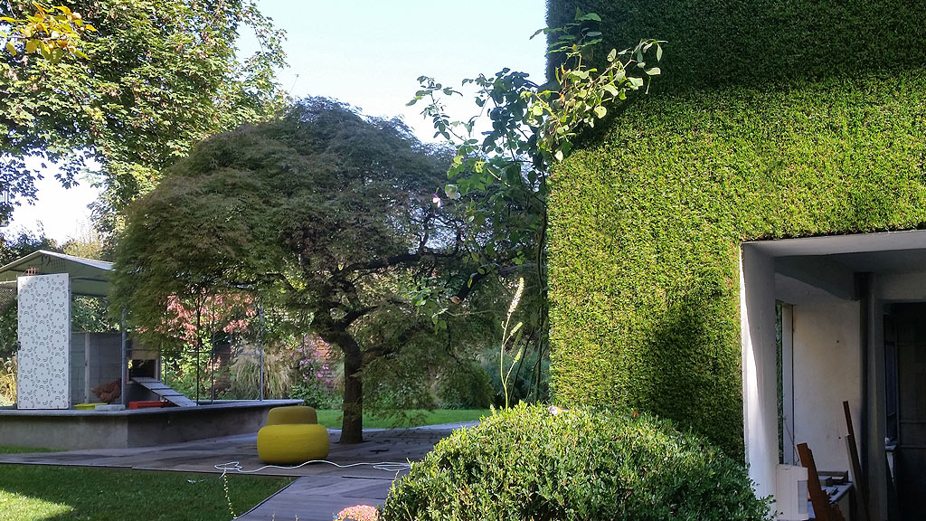 Verde verticale - il giardino segreto