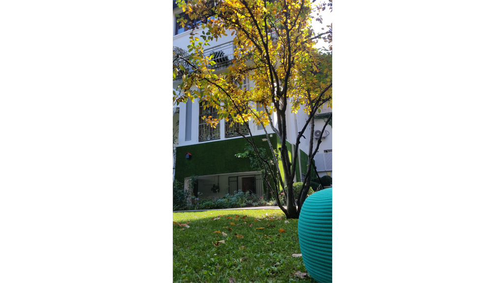 Verde verticale - il giardino segreto