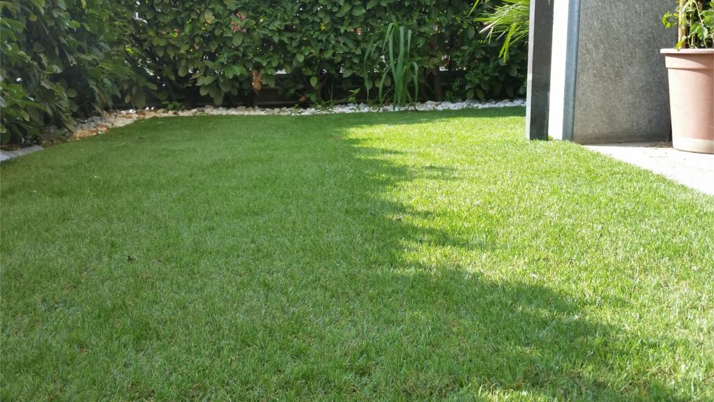 Roofingreen interno cortile condominiale