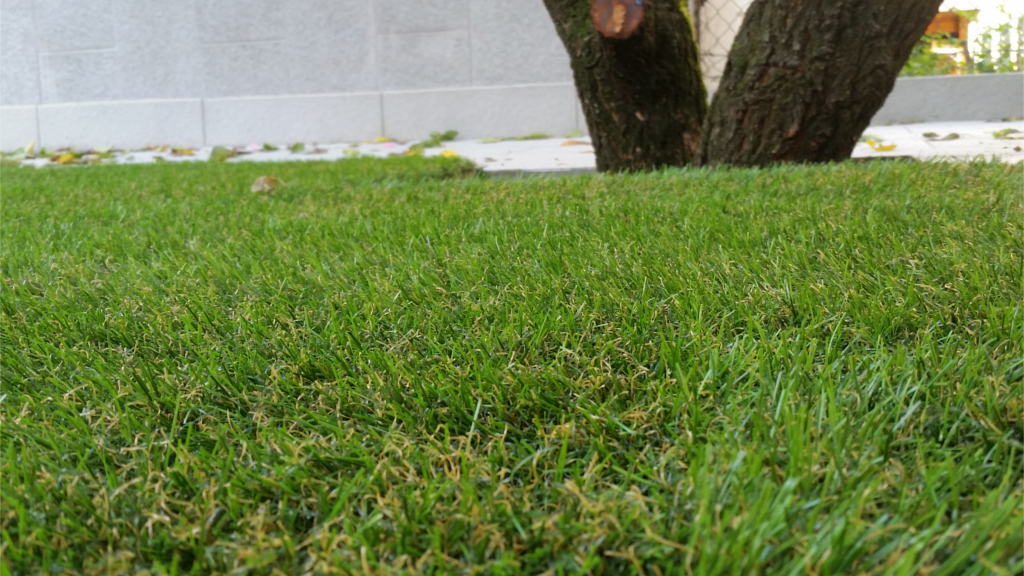 Roofingreen interno cortile condominiale