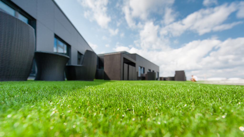 Tetto verde Roofingreen - Berlino
