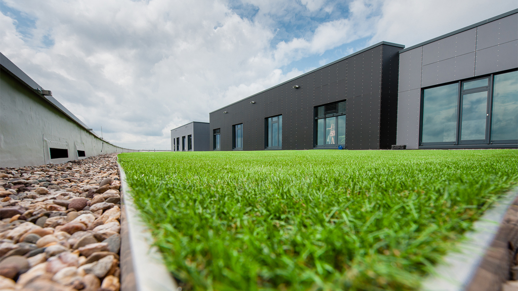 Tetto verde Roofingreen - Berlino