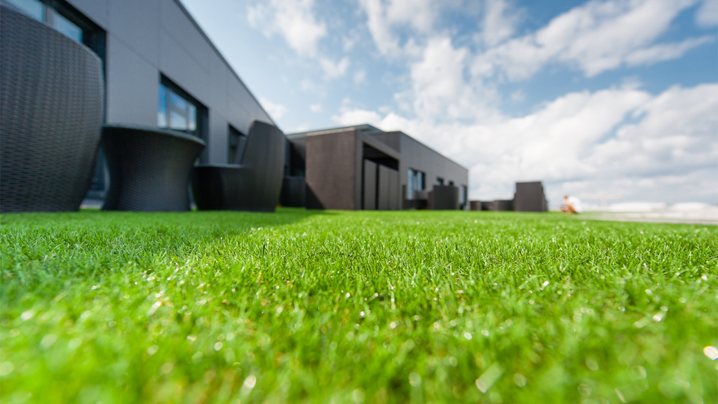 Tetto verde Roofingreen - Berlino
