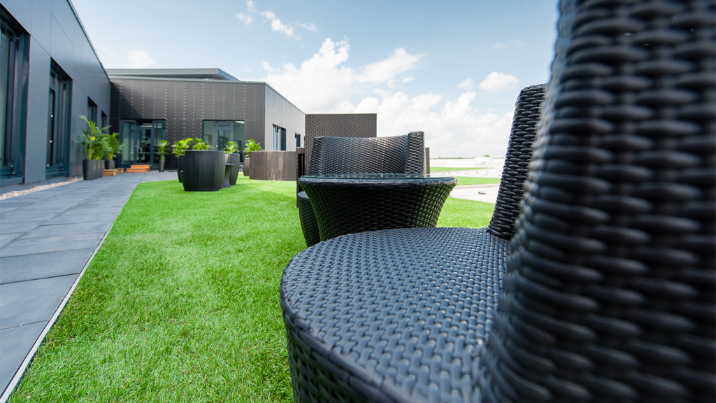 Tetto verde Roofingreen - Berlino