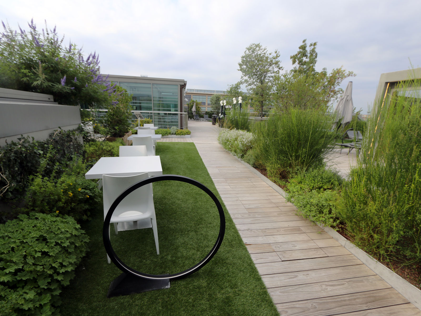 Roofingreen atterra sul rooftop Green Pea