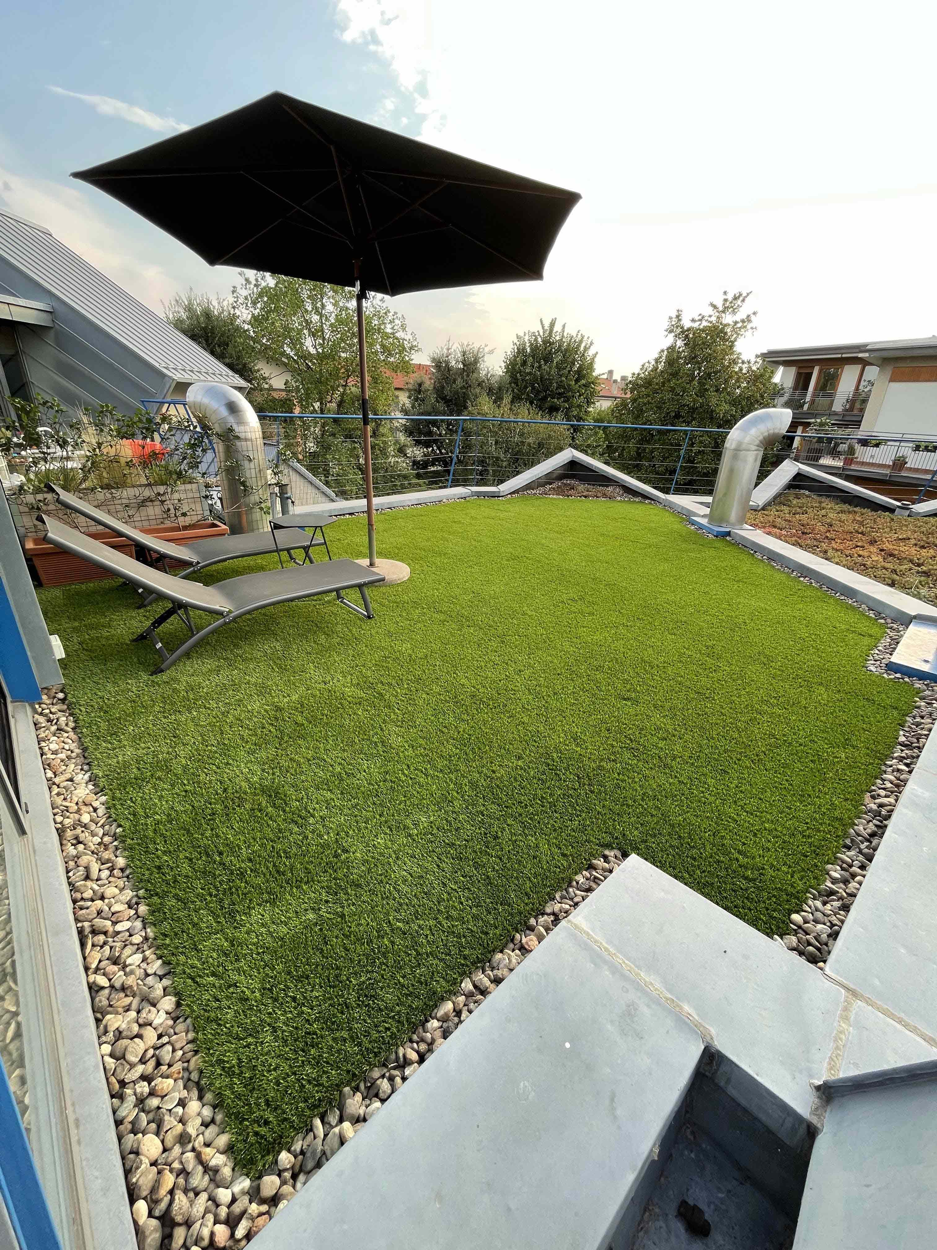 Sedum Rooftop coverage