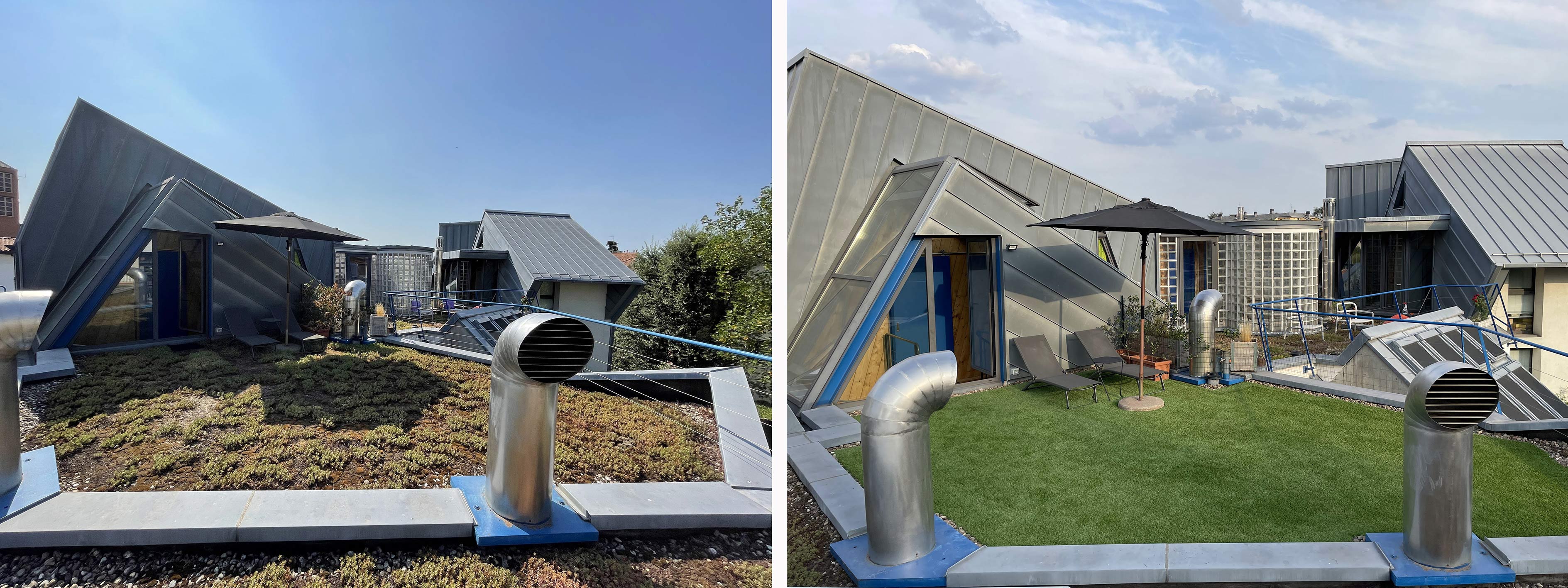 Sedum Rooftop coverage