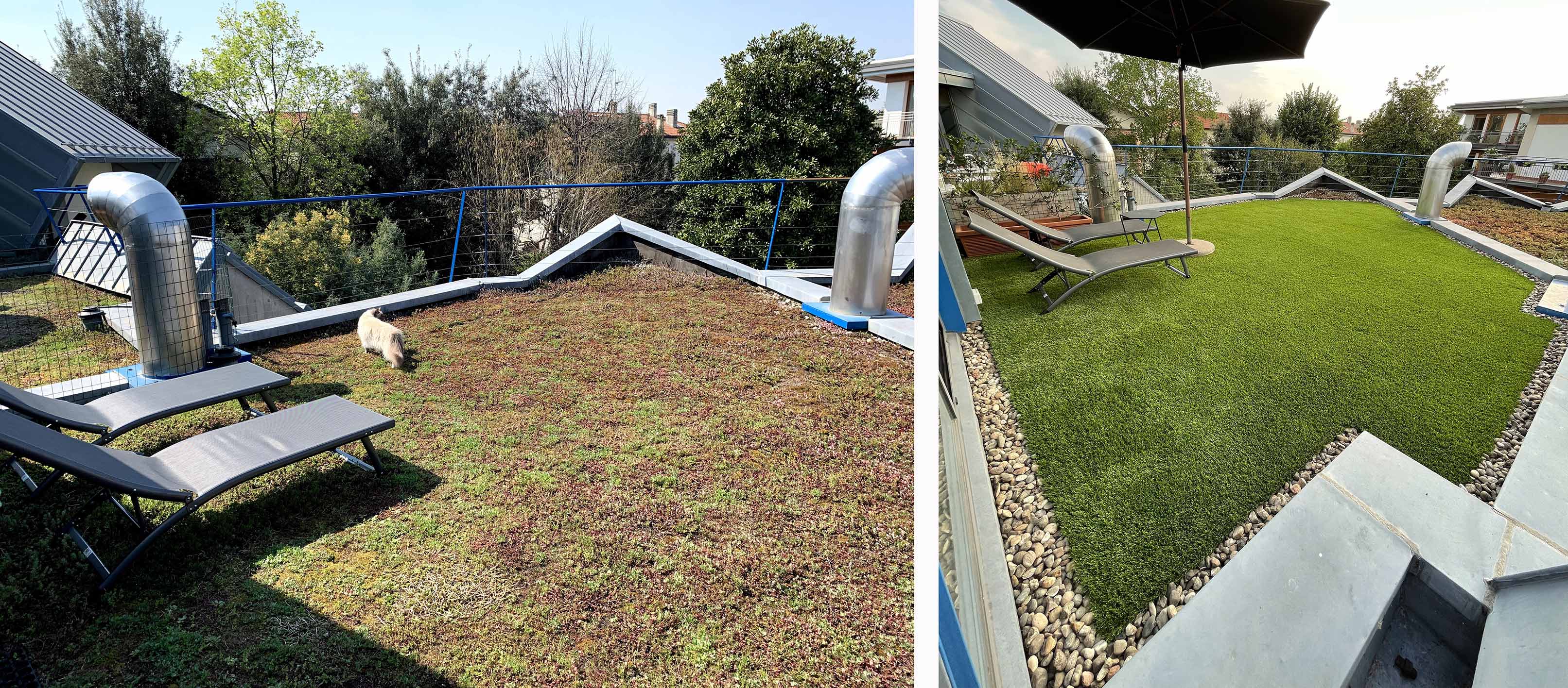 Sedum Rooftop coverage