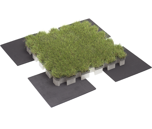 RoofInGreen - Nature Drain