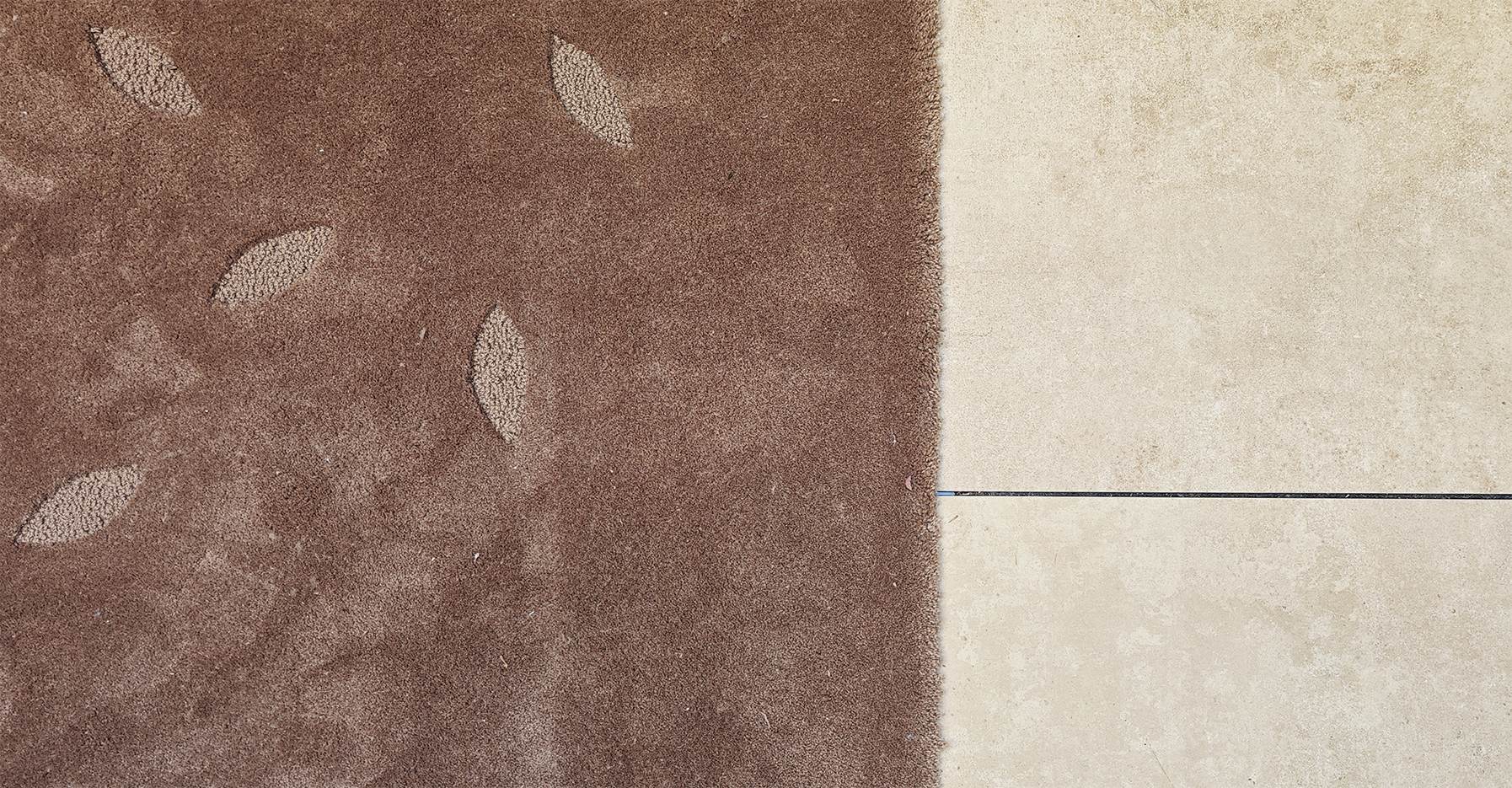 Dbase Rug